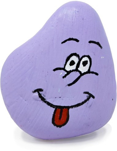 Piedra Decoración Barata | Adorno para Plantas, Repisas y Hogar