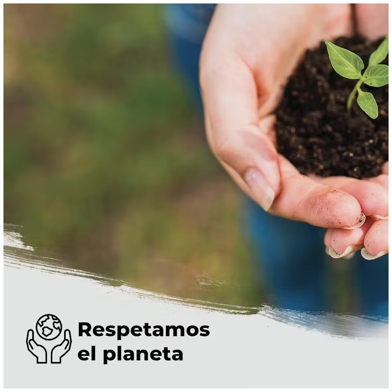 ▷🧻Rollo Papel Camilla Ecológico Natural con Precorte | Pack 6 rollos