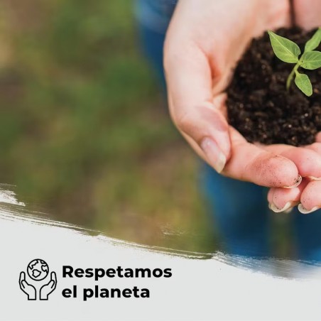 ▷🧻Rollo Papel Camilla Ecológico Natural con Precorte | Pack 6 rollos