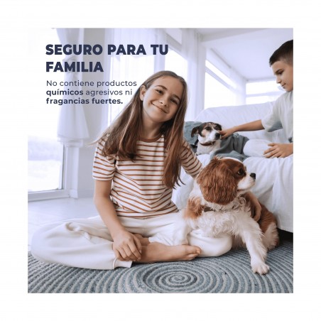 ▷🐾 Eliminador de Olores Mascotas 1000 ml | Neutraliza Olores