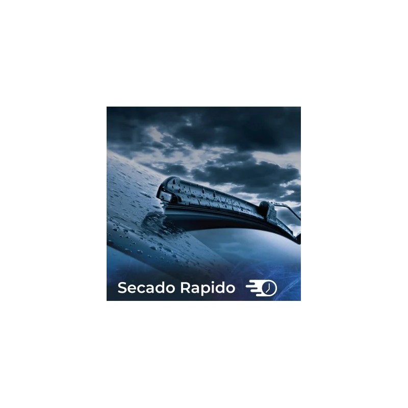 ▷Limpiaparabrisas 5 Litros | Líquido Hidrofóbico con Protección -5ºC