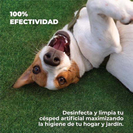 ▷🌿 Limpiador de Césped Artificial 2L | Limpieza, Higiene y Frescura