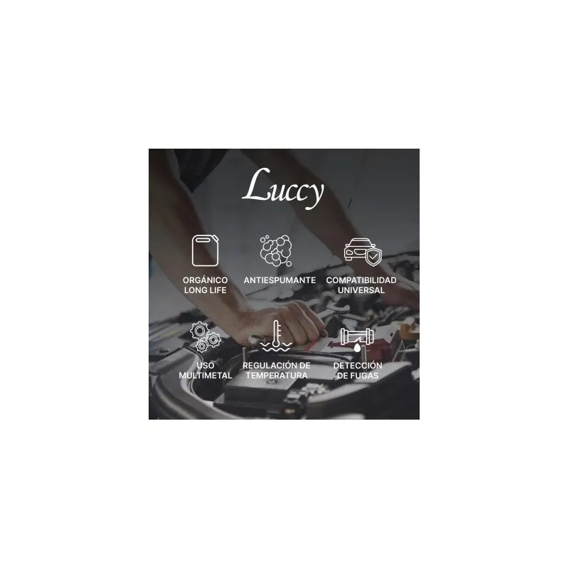 ▷❄️ Anticongelante Verde 10% 5L | Protección Motor y Refrigeración