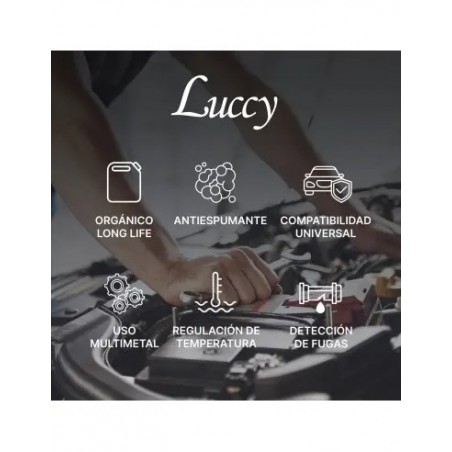 ▷❄️ Anticongelante Verde 10% 5L | Protección Motor y Refrigeración