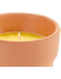 Vela de Citronela en Barro Barata | Repelente Natural de Mosquitos 2