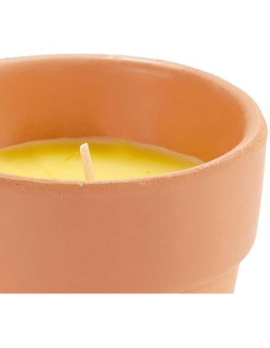 Vela de Citronela en Barro Barata | Repelente Natural de Mosquitos