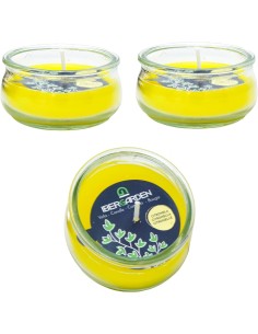 Vela de Citronela en Cristal Bajo Barata | Repelente Decorativa